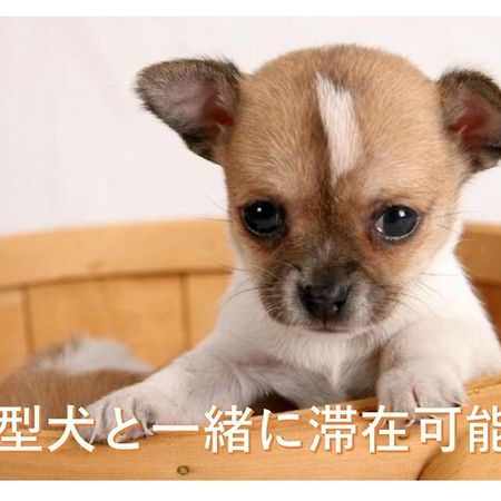 観光や仕事に便利ｻｰﾋﾞｽｱﾊﾟｰﾄﾒﾝﾄ札幌さくら2-2小型犬滞在可能 Apartment Toyohira ภายนอก รูปภาพ